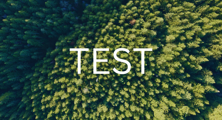 Matt Cruz Test Company Featured