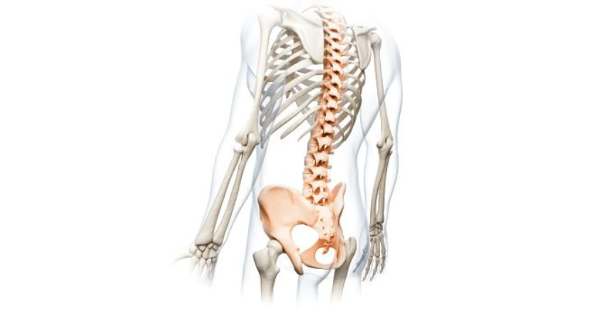 Precision IO’s Epione Robotic System Under Evaluation for Bone Lesion Treatment